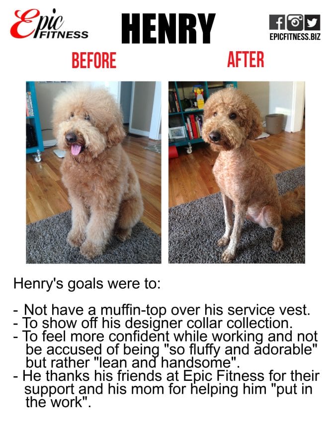 Henry_testimonial_revised